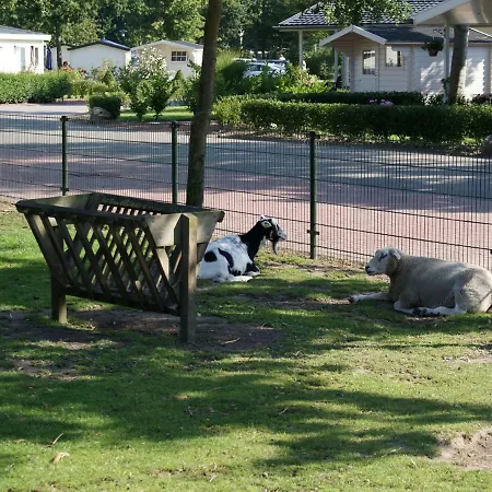 Holiday Droompark Molengroet.37 Prázdninový dům *